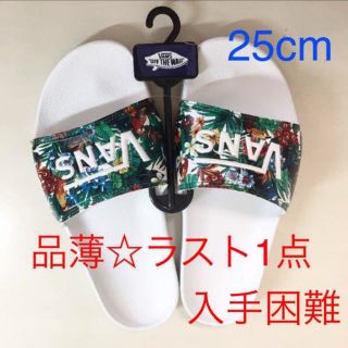 ヴァンズ(VANS)の入手困難★VANSサンダル★トロピカルバード25cm(サンダル)