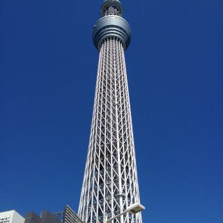 ハクサントウキ(白山陶器)のsaasha様専用(食器)