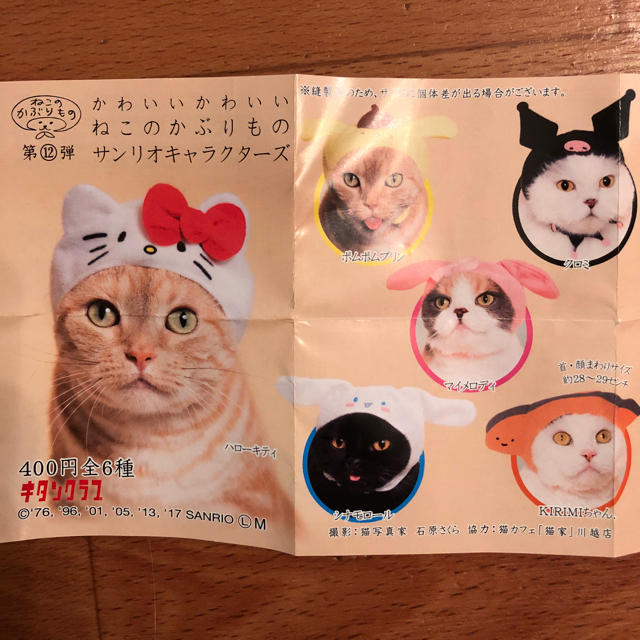 なみち様専用 猫かぶりもの クロミちゃん その他のペット用品(猫)の商品写真