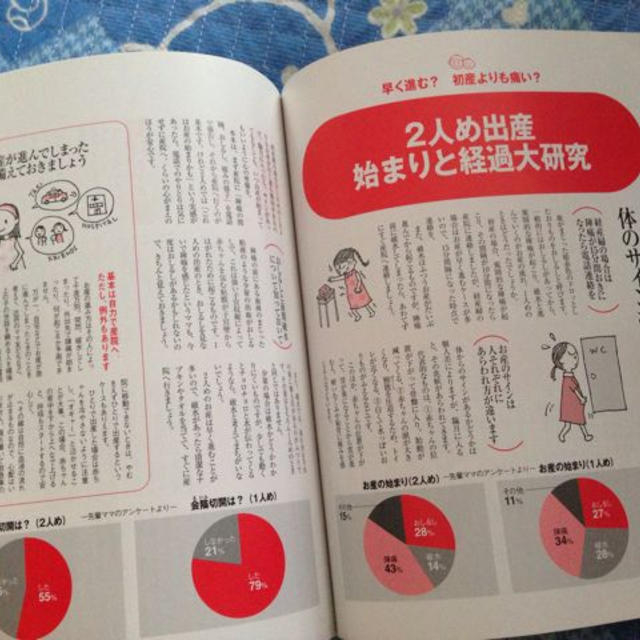 2人め育児安心BOOK エンタメ/ホビーのエンタメ その他(その他)の商品写真