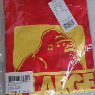 エクストララージ(XLARGE)の【値下げ】XLARGE 限定Tシャツ (未着用未開封)(その他)