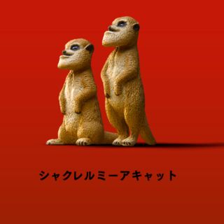 タカラトミーアーツ(T-ARTS)のシャクレルプラネット【ミーアキャット】(その他)