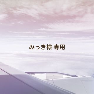 みっき様専用 ポーズカード21種(その他)