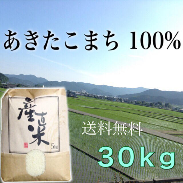 【アップル1011様専用】愛媛県産あきたこまち１００%  ３０ｋｇ  農家直送 食品/飲料/酒の食品(米/穀物)の商品写真