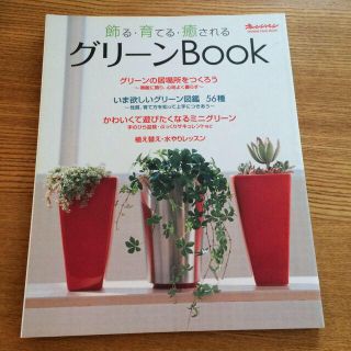 室内グリーンの育て方のムック(その他)