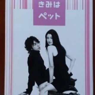 ari♡様専用　『きみはペット』DVD-BOX(TVドラマ)