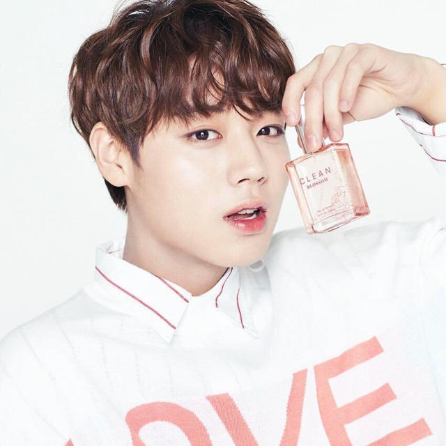 WannaOne ワナワン ジフン の通販 by yonjin's shop|ラクマ WannaOne ワナワン ジフン の通販 by yonjin's shop|ラクマ