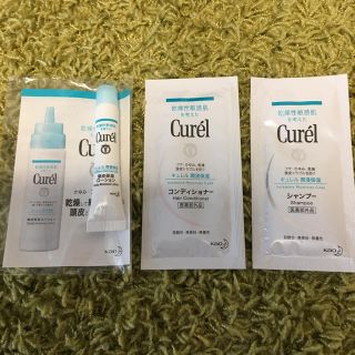 キュレル(Curel)の【未使用】キュレル シャンプー&コンディショナー、頭皮ローション(シャンプー)