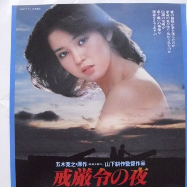 値下げ!送料込!映画チラシ 樋口可南子 戒厳令の夜 エンタメ/ホビーのコレクション(その他)の商品写真