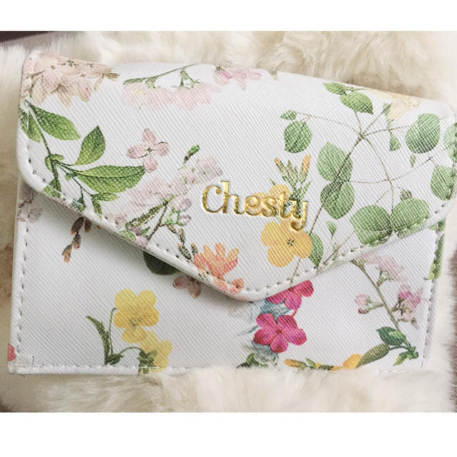 Chesty(チェスティ)の非売品 chesty ミニウォレット レディースのファッション小物(財布)の商品写真