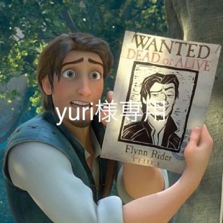 ディズニー(Disney)の《yuri様専用》フリンライダー ツムツム (キャラクターグッズ)