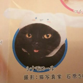 サンリオ(サンリオ)のねこのかぶりもの  シナモンちゃん(猫)