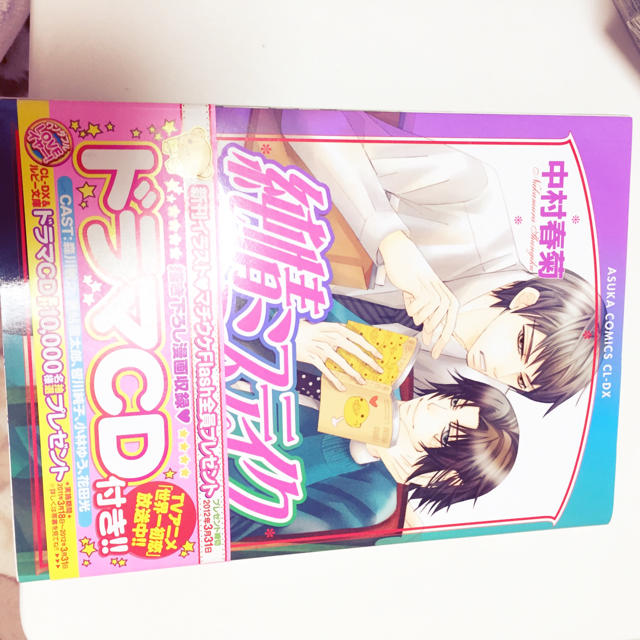 角川書店(カドカワショテン)の純情ロマンチカ エンタメ/ホビーの漫画(ボーイズラブ(BL))の商品写真