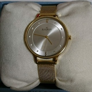 スカーゲン(SKAGEN)のSKAGEN レディース腕時計 SKW2150(腕時計)