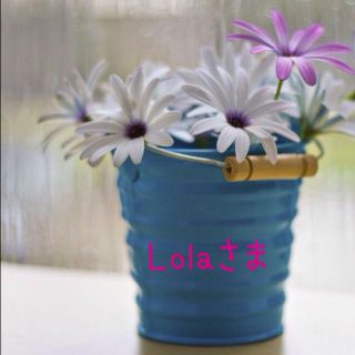 ♡Lola♡様ご依頼品(その他)