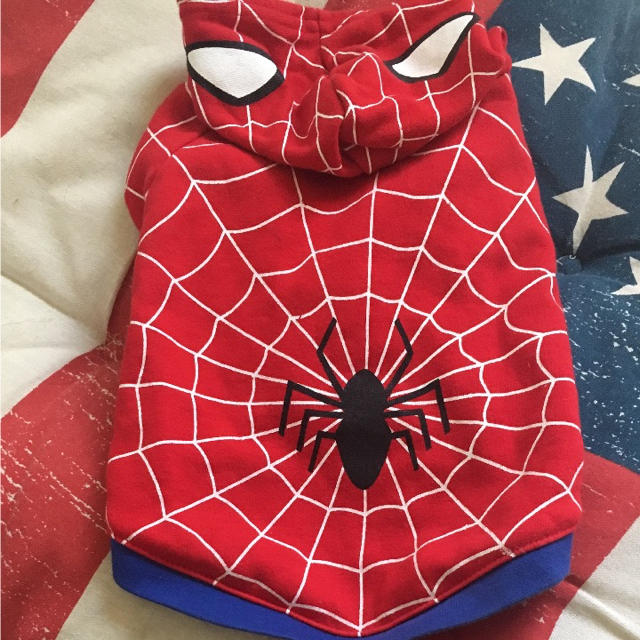 スパイダーマン 犬服 その他のペット用品(犬)の商品写真