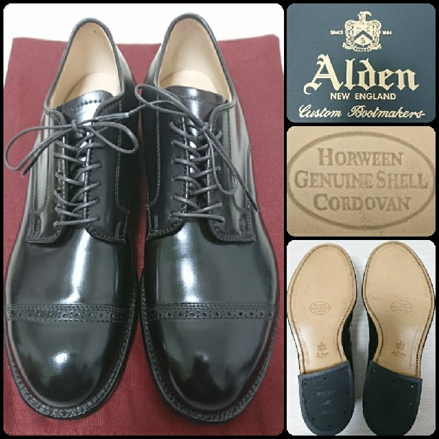 おトク情報がいっぱい! - Alden ぺんぺん草 パンチドキャップトゥ コードバン オールデン 新品未使用 ドレス/ビジネス おトク情報がいっぱい! - Alden ぺんぺん草 パンチドキャップトゥ コードバン オールデン 新品未使用 ドレス/ビジネス