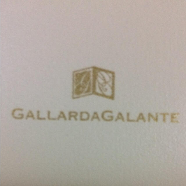 GALLARDA GALANTE(ガリャルダガランテ)の【新品 未使用】GALLARDAGALANTE クラッチポーチ 折り曲げず発送！ レディースのバッグ(クラッチバッグ)の商品写真