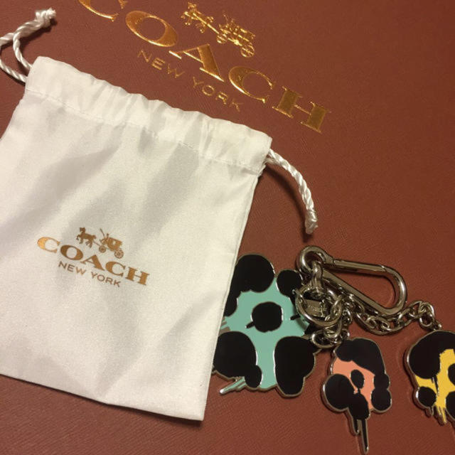 COACH(コーチ)のcoach×ゲイリーベースマン レディースのファッション小物(キーホルダー)の商品写真