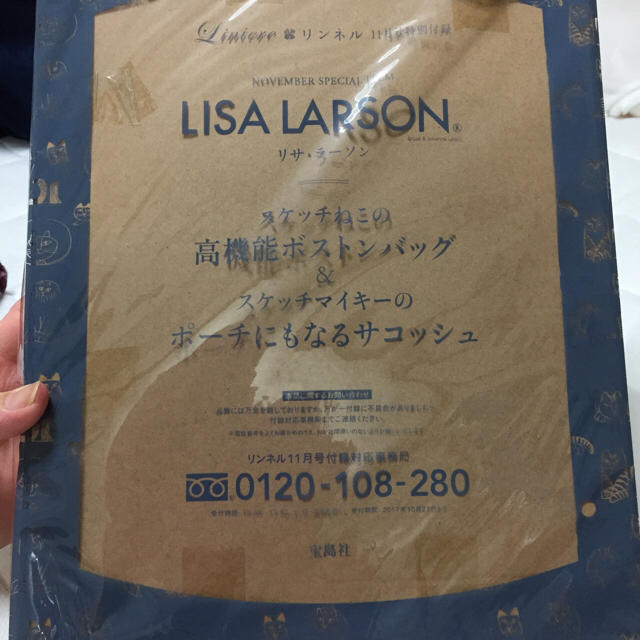 Lisa Larson(リサラーソン)のリサラーソン 高機能ボストンバッグ＆ポーチにもなるサコッシュ 付録 レディースのバッグ(ボストンバッグ)の商品写真