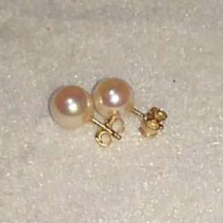 あこや本真珠ピアス　5.5-6mm   K14GF  ②(ピアス)