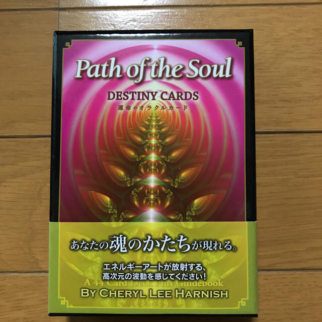 パス オブ ザ ソウル Path of the Soul エンタメ/ホビーのエンタメ その他(その他)の商品写真