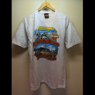 ハリウッドランチマーケット(HOLLYWOOD RANCH MARKET)のHarleyDavidson/Hanes(USA)ビンテージTシャツ(Tシャツ/カットソー(半袖/袖なし))