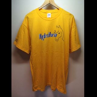 ビームス(BEAMS)のHydraHorse/GILDAN(USA)ビンテージTシャツ(Tシャツ/カットソー(半袖/袖なし))