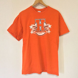 ハリウッドランチマーケット(HOLLYWOOD RANCH MARKET)のRaiderRally/GILDAN(USA)ビンテージTシャツ(Tシャツ/カットソー(半袖/袖なし))