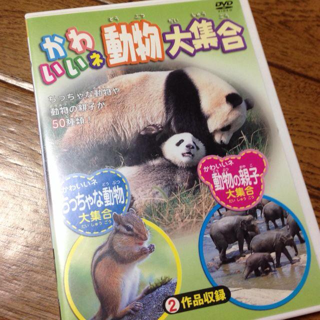 かわいい動物DVD エンタメ/ホビーのエンタメ その他(その他)の商品写真