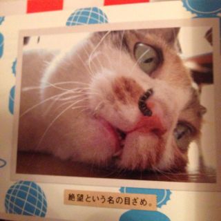 yui様専用出品(その他)