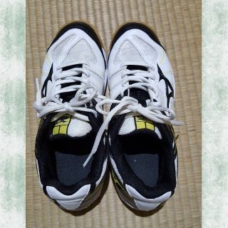 ミズノ(MIZUNO)のMIZUNO　バレーボール　バドミントンシューズ　23.5㎝(バドミントン)