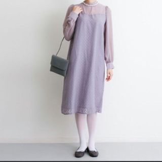 メルロー(merlot)のmerlot plus ドット柄シースルーワンピース(ひざ丈ワンピース)