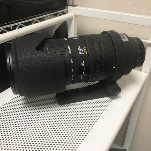 SIGMA 50-500 フルサイズ対応