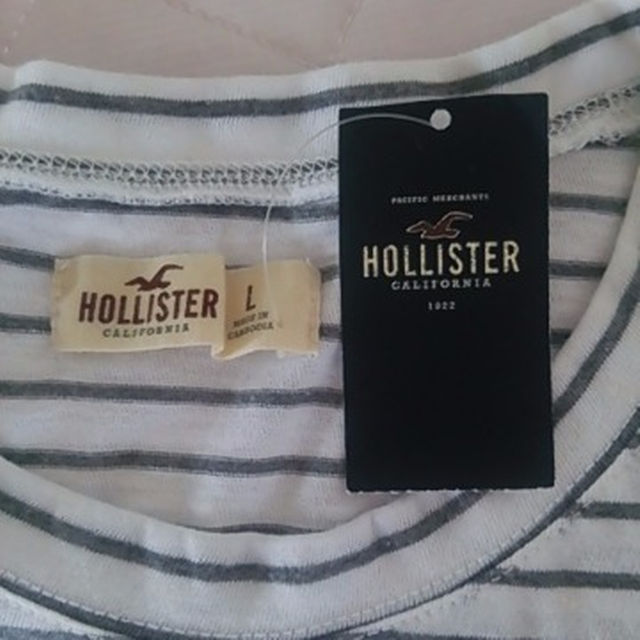 Hollister(ホリスター)の新品☆ ホリスター HOLLISTER 正規品 Ｔシャツ Ｌサイズ レディースのトップス(その他)の商品写真