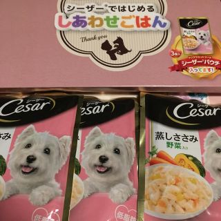 シーザー(CASAR)のシーザー蒸しささみ野菜入りゼリータイプ3袋入り(ペットフード)