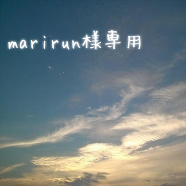 marirun様専用 その他のその他(その他)の商品写真