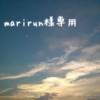 marirun様専用(その他)