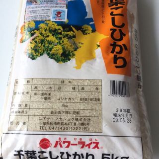 送料込⭐️千葉産 コシヒカリ 5kg 29年産 ⭐︎(その他)