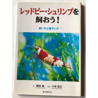 レッドビーシュリンプを飼おう！(趣味/スポーツ/実用)