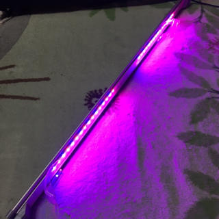 コトブキ フラット900 LED(アクアリウム)