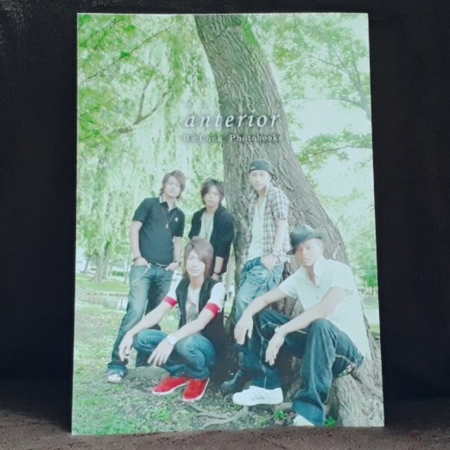 ボタニカルキャンドル バラ かすみ草 B☆Luck / 写真集 - 通販 - dcrm