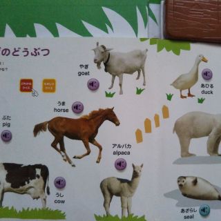 なきごおいっぱい わくわくどうぶつずかんの通販 By ちいた S Shop ラクマ なきごおいっぱい わくわくどうぶつずかんの通販 By ちいた S Shop ラクマ