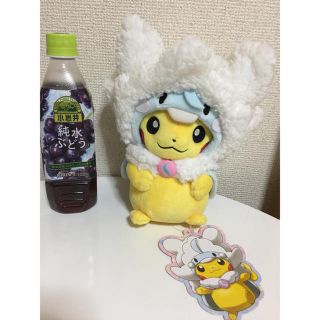 ポケモン(ポケモン)のメガチルタリス ピカチュウ ポンチョ ぬいぐるみ 美品(ぬいぐるみ)