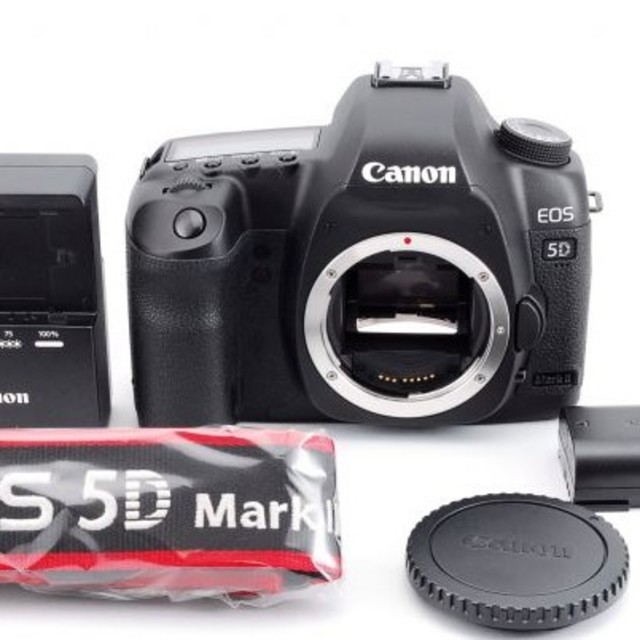 めちゃキレイ〜♪人気 高性能 Canon EOS 5D Mark II ボディカメラ