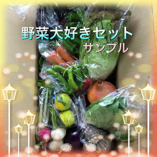 ねぎたっぷり  野菜セット  100(野菜)