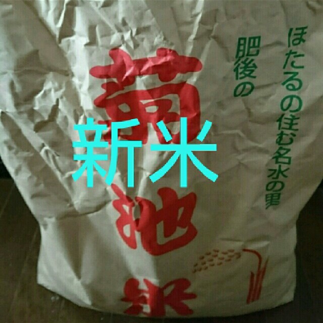 新米、お米食品/飲料/酒