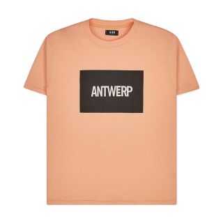 ラフシモンズ(RAF SIMONS)のVier Antwerp  Box Logo T shirts tee Tシャツ(Tシャツ/カットソー(半袖/袖なし))