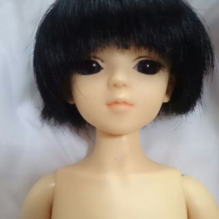 ボークス(VOLKS)のスーパードルフィー ＭＳＤ子天使椿 里親募集(その他)