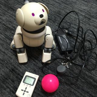 ソニー(SONY)のSONY AIBO(その他)